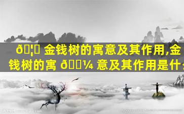 🦁 金钱树的寓意及其作用,金钱树的寓 🐼 意及其作用是什么